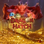 dragon hatch 1 web 1 Auto Slot PG .com เว็บตรง สล็อต PG อันดับ 1 ฝากถอนออโต้ มั่นคง ปลอดภัย