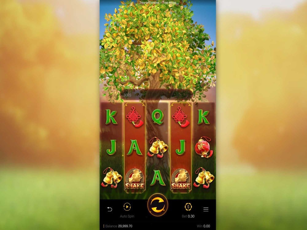 tree of fortune 1 web 1 Auto Slot PG .com เว็บตรง สล็อต PG อันดับ 1 ฝากถอนออโต้ มั่นคง ปลอดภัย